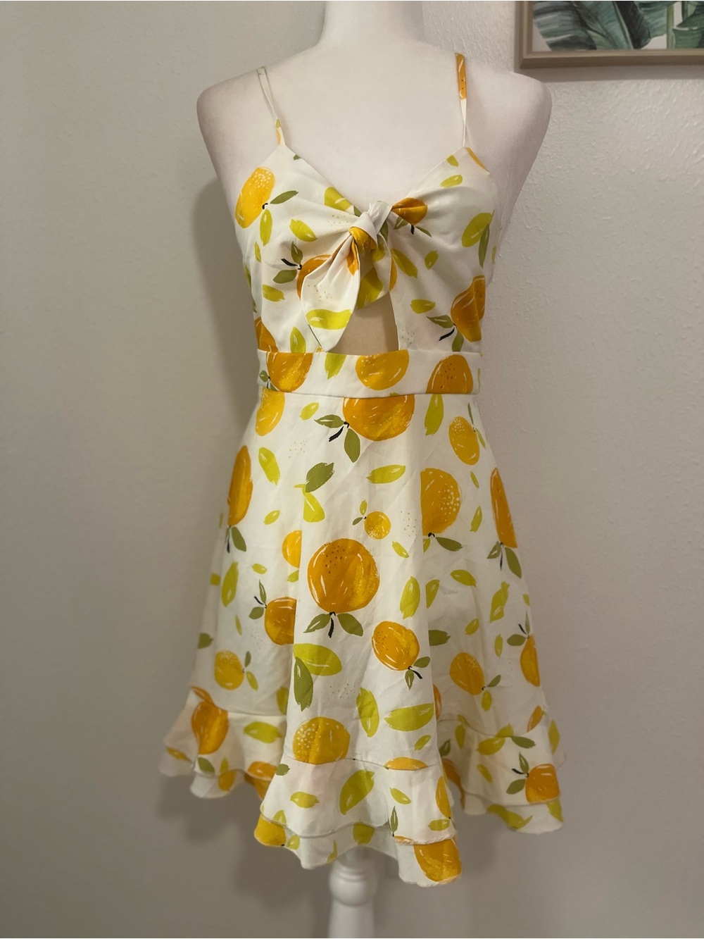 Women’s Elegant Casual Vacation Style Lemon Print Sleeveless Tie Front